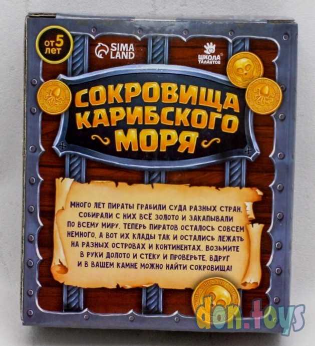 ​Набор для раскопок «Сокровища карибского моря», арт. 4064771, фото 2