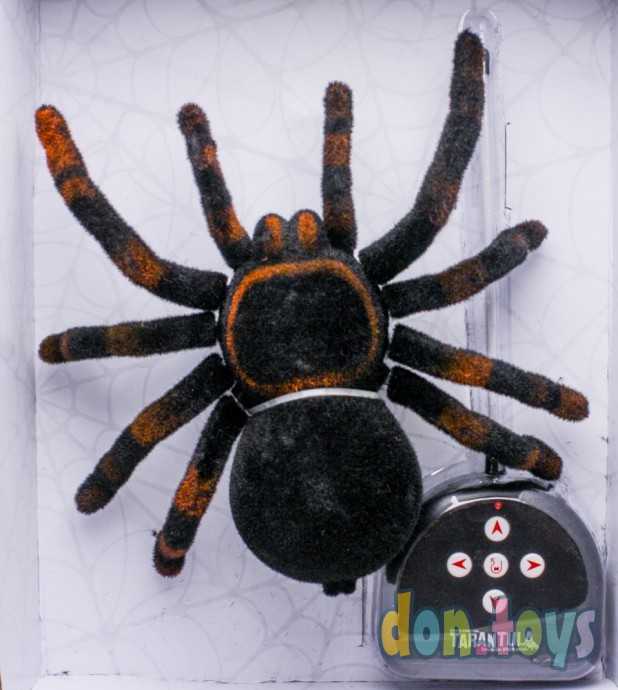 ​Паук радиоуправляемый «Тарантул», работает от батареек, световые эффекты, арт. 4177590, фото 4