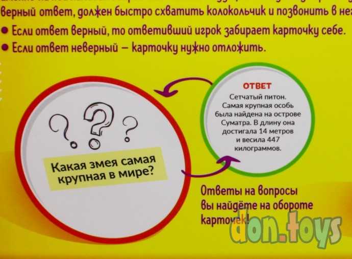 Настольная игра «Скоростная викторина», арт. 4738953, фото 8