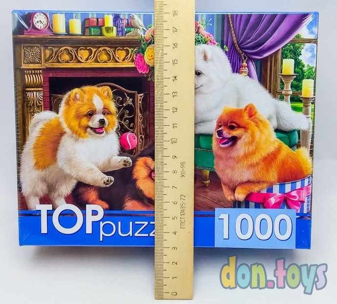 ​TOPpuzzle Пазлы 1000 элементов, Игривые шпицы, арт. ГИТП1000-4145, фото 3