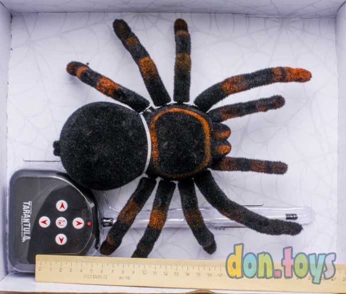 ​Паук радиоуправляемый «Тарантул», работает от батареек, световые эффекты, арт. 4177590, фото 3