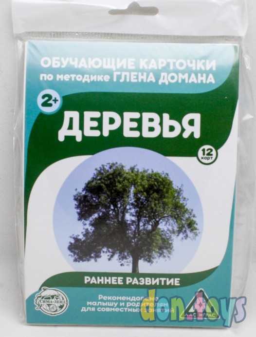 ​Обучающие карточки по методике Г. Домана «Деревья», 12 карт, А6, арт. 3871988, фото 1